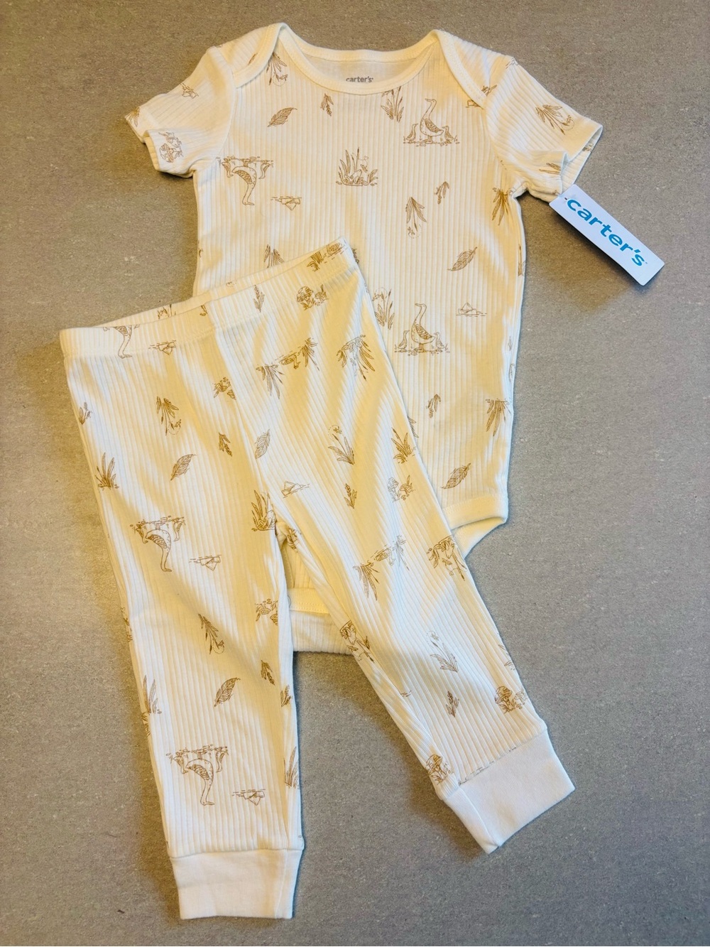Carter’s Outfit
